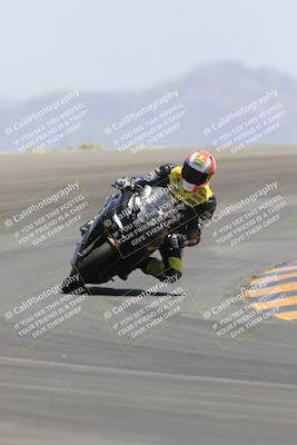 media/May-14-2023-SoCal Trackdays (Sun) [[024eb53b40]]/Turn 12 (1145am)/